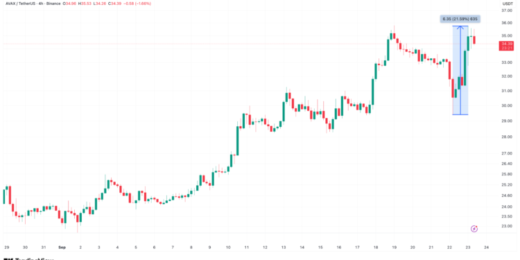 Avalanche Defies Crypto Market Dump With 10% Gains