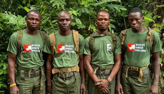 Biodiversity: NCF, Renaissance Africa enlighten 46 community forest rangers – EnviroNews