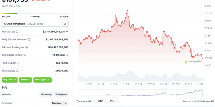 Bitcoin Price Falls to $107k