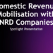 Domestic RevenueMobilisation with NRD Companies