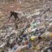 Joburg landfill closure threatens 140 livelihoods