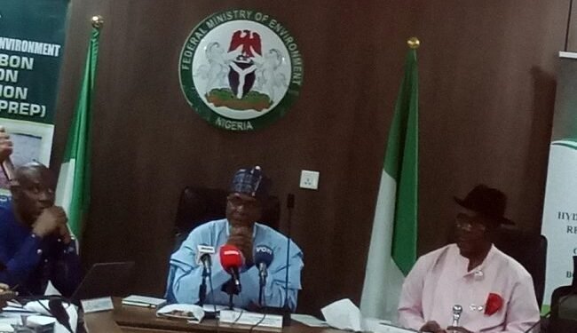 Nigeria reaffirms commitment to Ogoni clean-up – EnviroNews