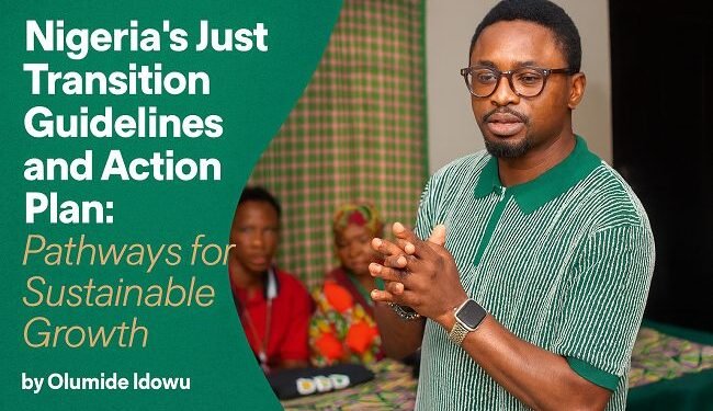Nigeria’s Just Transition Guidelines and Action Plan: Pathways for sustainable growth – EnviroNews