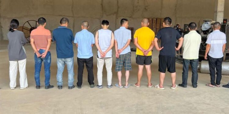 Operation Serengeti 2.0 Arrests More Than 1,200 People for Cybercrime