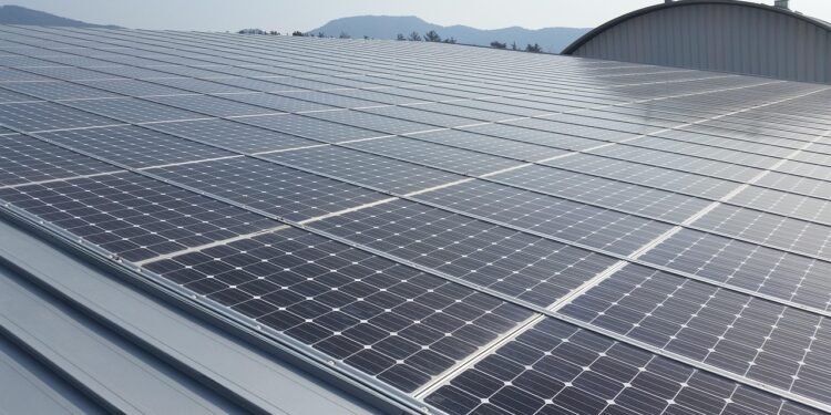 Renewable boom: How Nigeria is attracting investors in its green energy sector