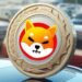 Risks & Challenges of Buying Shiba Inu (SHIB)