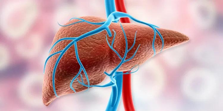 Roche dives into MASH with $2.4B deal for 89bio