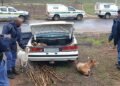 SAPS officer arrested for theft of livestock worth R450 000