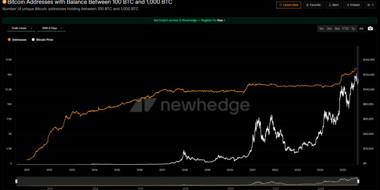 Shark wallets load up on BTC as accumulation hits 65K for the week