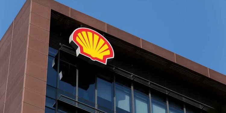 Shell appeals revoked drilling rights in South Africa’s West Coast