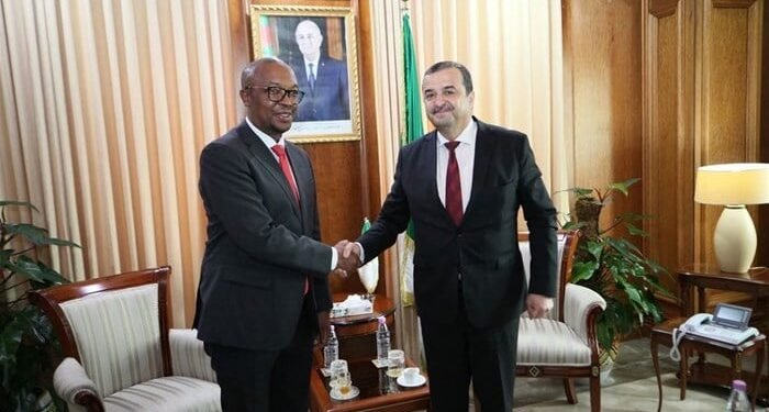 South Africa, Algeria move to boost trade with new routes