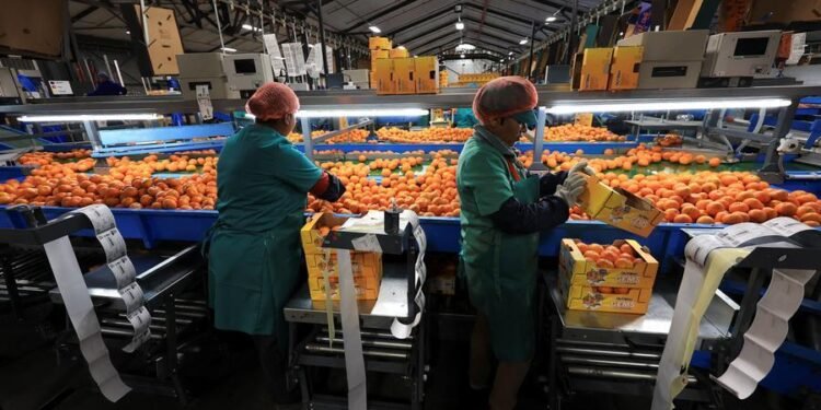 South Africa pitches multi-billion-dollar infra pipeline to Gulf investors