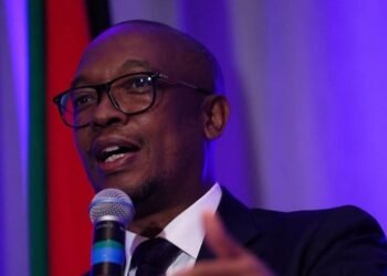 South African minister meets US representative in push for trade deal