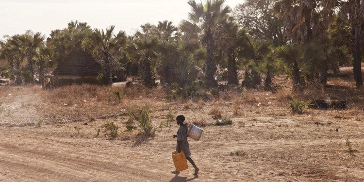 The Heyday of NGOs Ended Long Before the End of USAID