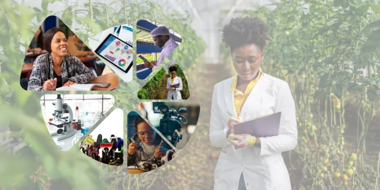 The Power of Storytelling in Research Communication