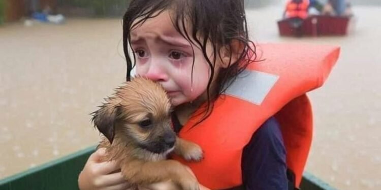 What is AI slop? A technologist explains this new and largely unwelcome form of online content