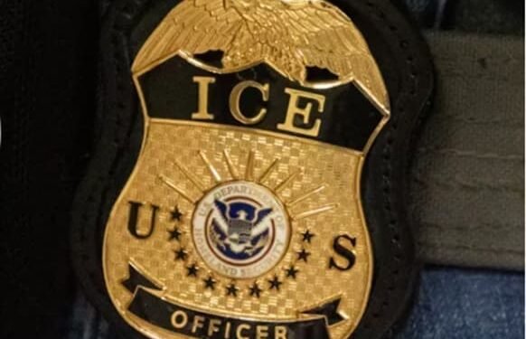 Woman With Green Card Detained by ICE During Process