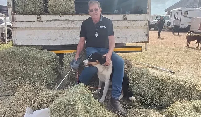 the story of a top sheepdog