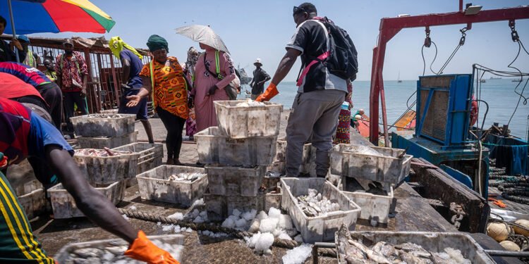 ‘Sea War’: Locals Face Off Against Foreign Trawlers in The Gambia