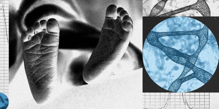 A New Startup Wants to Edit Human Embryos