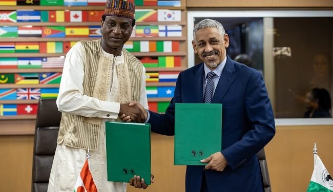 AfDB, Niger sign $144.7m agreement to boost energy access, economic competitiveness – EnviroNews