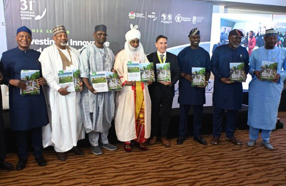 African Development Bank, United Nations World Food Programme (WFP) and International Food Policy Research Institute (IFPRI) launch report on innovative investment in food systems in Northern Nigeria