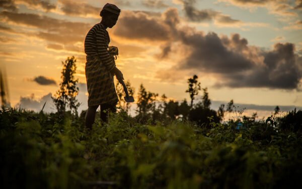African Development Bank approves $6 million grant to strengthen disaster risk management in Africa