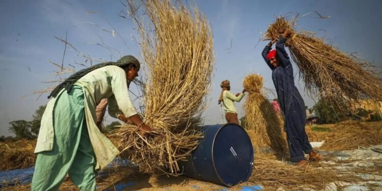 BRICS Grain Exchange Pilot by Russia Targets US CME Monopoly