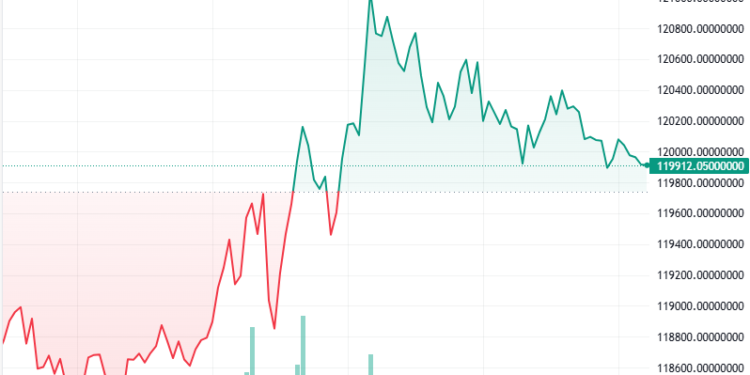 Bitcoin, DeFi Rally, Zcash Top Weekly Crypto Performance: Finance Redefined