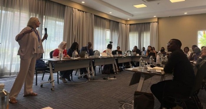 Capacity building for negotiators strengthens developing nations’ voice in climate advocacy – EnviroNews