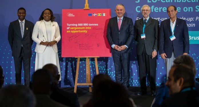 EU and the Caribbean tackle sargassum crisis in the Caribbean