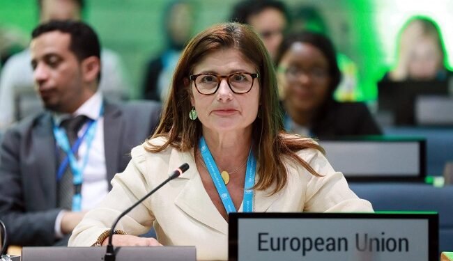 EU launches Kenya clean energy campaign, highlighting rural electrification progress – EnviroNews