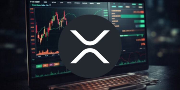 Everything Just Changed, Is a Rally Near?