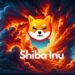How High Will Shiba Inu Go If Half Its Supply Is Destroyed?