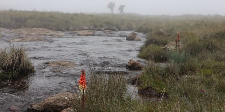 In Photos: The Spectacular But Contested Drakensberg Source of Johannesburg’s Water