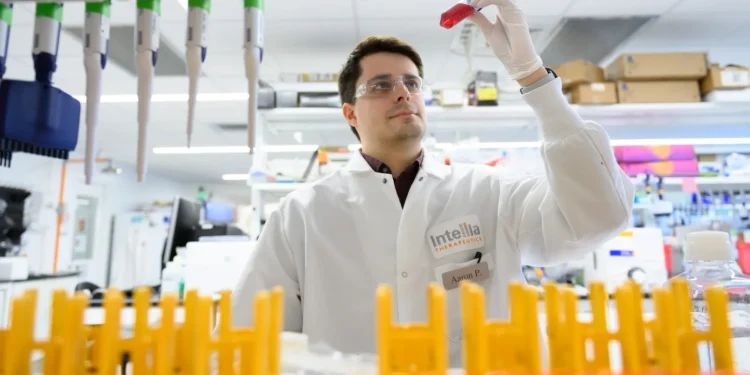 Intellia pauses two CRISPR drug studies after safety scare