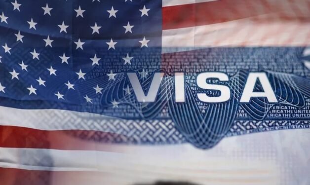 International Student Arrivals in USA Drop Sharply In August