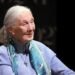 Jane Goodall, famed conservationist, dies at 91 – EnviroNews