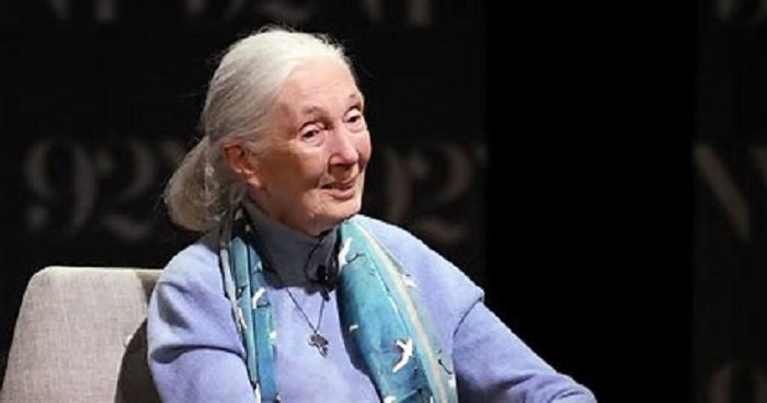 Jane Goodall, famed conservationist, dies at 91 – EnviroNews