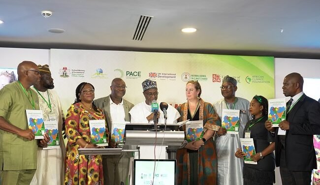 Lagos tops, as 2025 Subnational Climate Governance Ranking is released – EnviroNews