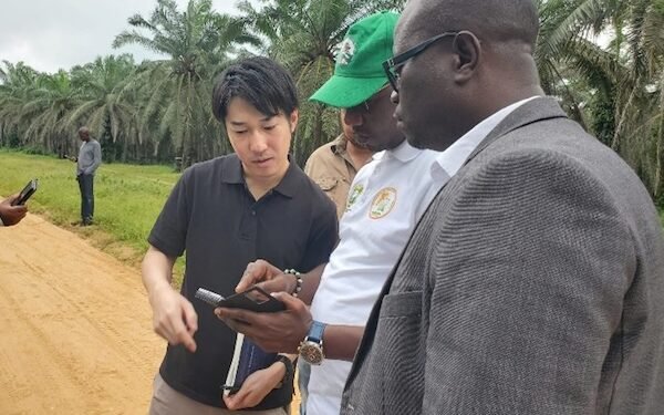 NEC Africa project aims to boost agricultural efficiency in Cote d’Ivoire