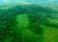 New report uncovers Congo Basin’s hidden $23 trillion untapped green goldmine