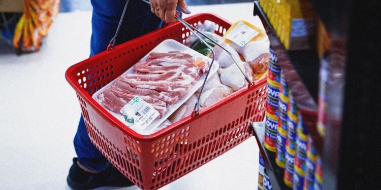 No, SNAP Benefits Aren’t Mostly Used by Immigrants