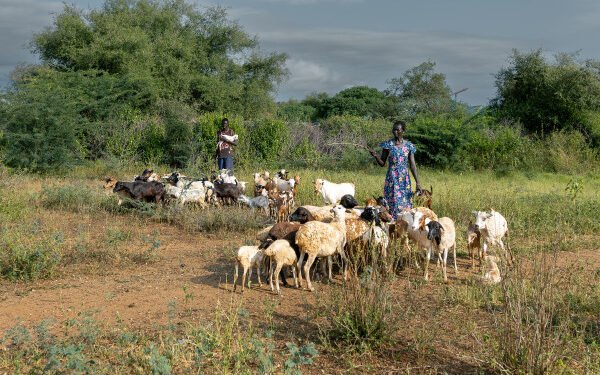 Pastoralism: Inside Africa’s Hidden Powerhouse