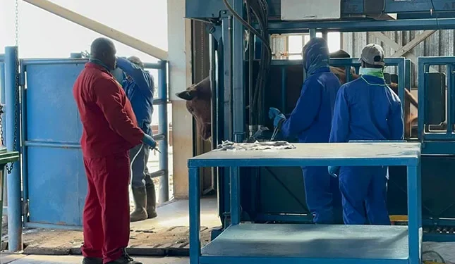 SA awaits FMD vaccine shipment from Botswana