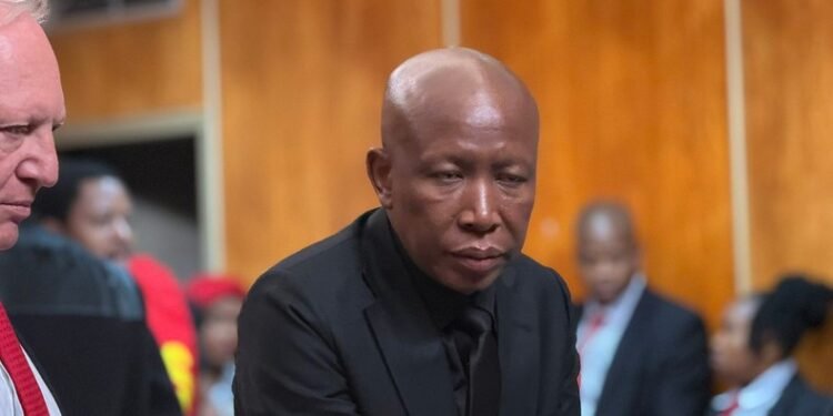 South African opposition leader calls prison a “Badge of Honour” following firearms conviction