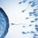 Sperm From Older Men Have More Genetic Mutations