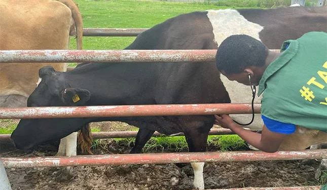 Study Animal Health at TARDI