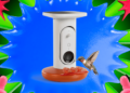 This Is the Best Smart Hummingbird Feeder I’ve Tested, and It’s $50 off Right Now