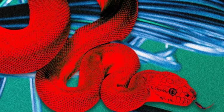 This ‘Privacy Browser’ Has Dangerous Hidden Features